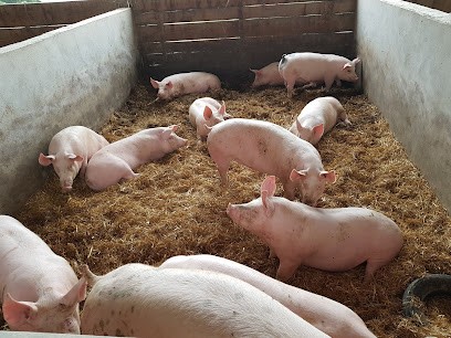 Ferme Lou Sécadou, Charcuterie à Espeyroux
