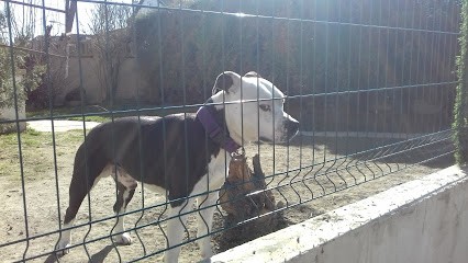 Alexandre, Boucherie à Sevran