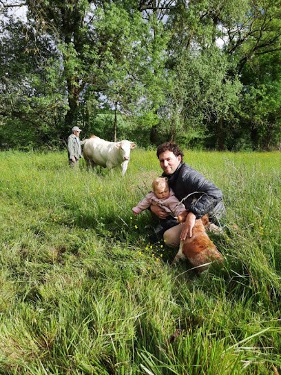 Viandes de Lilian - Aveyron, Boucherie à Luc-la-Primaube