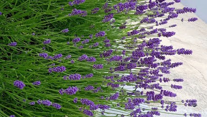 Boucherie du soleil, Boucherie à Saran