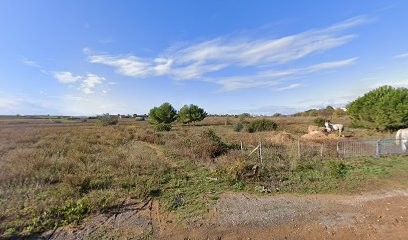 Chez Robert, Boucherie à Portiragnes