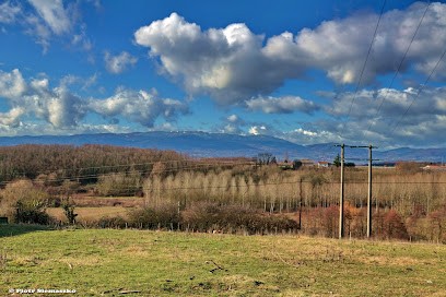 Baborier Michel, Boucherie à Ville-sous-Anjou