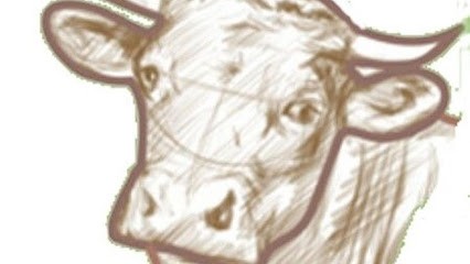 La Charolaise Sarl, Boucherie à Grâces