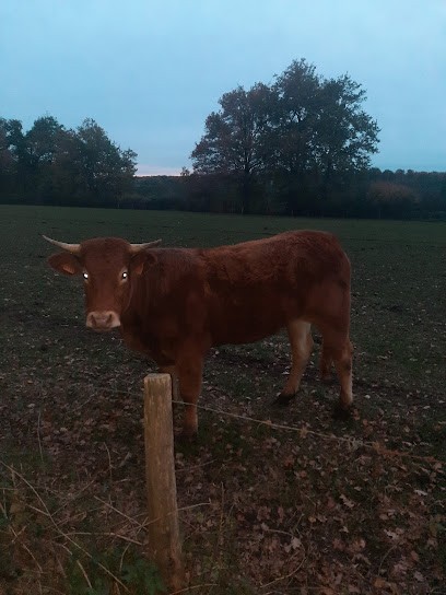 Pelletier Pere Et Fils, Boucherie à Magneux-Haute-Rive