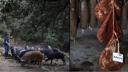 MAISON PAOLANTONACCI, Charcuterie à Azilone-Ampaza