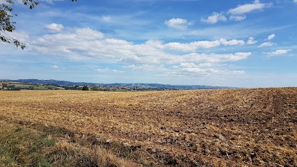 Venet Et Charbonnier, Boucherie à Viricelles