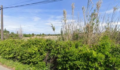 Comptoir Des Viandes, Boucherie à Pernes-les-Fontaines