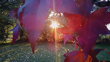 Conserverie Artisanale Laffaure C Et JP, Charcuterie à Pompiac