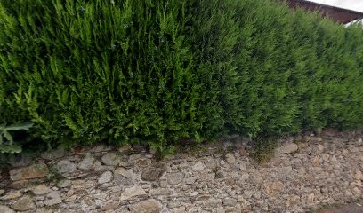 Conserverie Quatrefages SARL, Charcuterie à Saint-Jean-du-Bruel