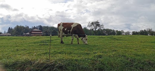 Maison Laine, Boucherie à Argonay