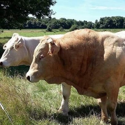 Boucherie Charcuterie Traiteur JAUNET Servon-Sur-Vilaine, Boucherie à Servon-sur-Vilaine