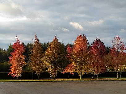 Salaisons Celtiques Pontivy, Charcuterie au Sourn