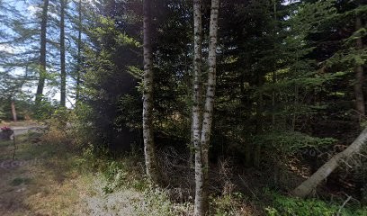 Michel Guillaume Julien, Boucherie à Queyrières