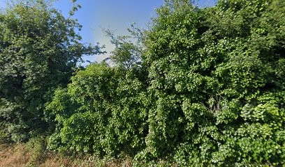 BG Viandes, Boucherie à Nalliers