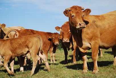Sarl Aux Produits Fermiers, Boucherie à Étreillers