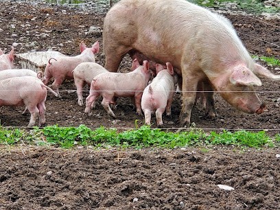 Motte Viandes, Boucherie à La Mure