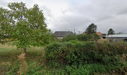 Boucherie Services Découpe, Boucherie à La Selle-Craonnaise