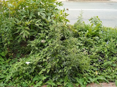 charcuterie belleperche, Charcuterie à Crèvecoeur-le-Grand