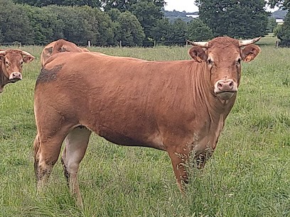 Bédard Bruno EI, Boucherie à Pleucadeuc