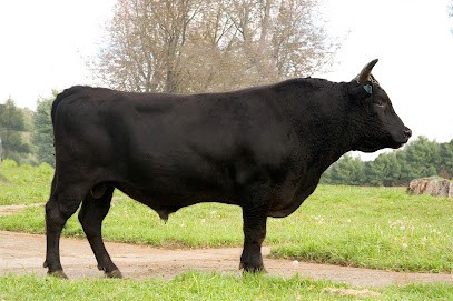 Gustoviandes By GustoteK, Boucherie à Veyre-Monton