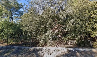 Mikaleff Johan Jean Michel Gerard, Charcuterie à Lourmarin