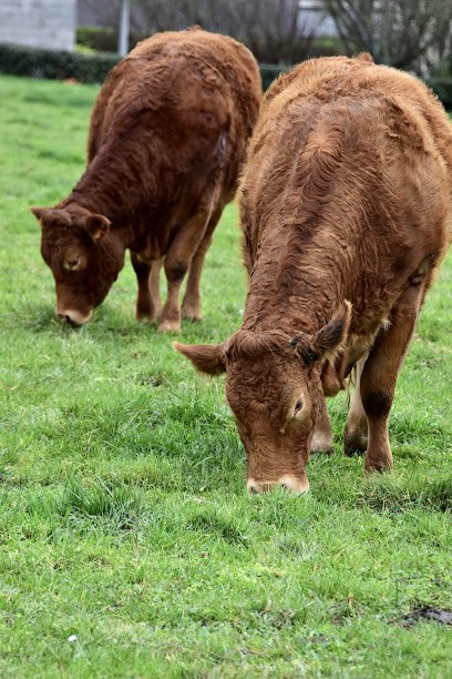 Boucherie Bio Du Minou Sarl, Boucherie à Plouzané