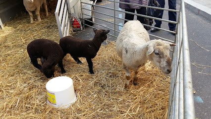 Boucherie Pourrat, Boucherie à Craponne-sur-Arzon