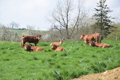 PALACIN Boucherie, Boucherie à Dému