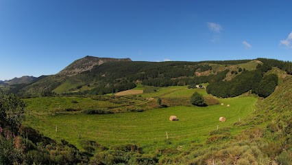 Tinel, Boucherie à Yssingeaux