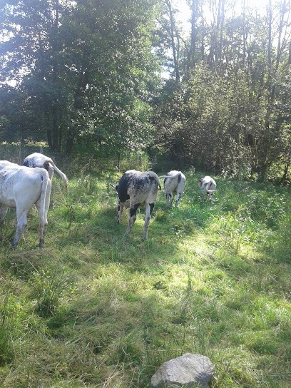 Atouy Abdelhak, Boucherie à Fresse-sur-Moselle