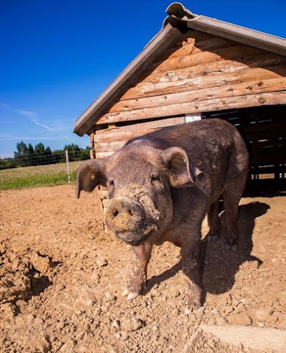 Cochons Des Cruzières, Boucherie à Saint-Sauveur-de-Cruzières