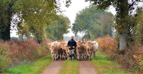 La Ferme Vache Et Compagnie, Boucherie à Talmont-Saint-Hilaire