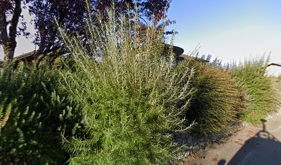 Rosnoblet Pierre, Boucherie à Cornier