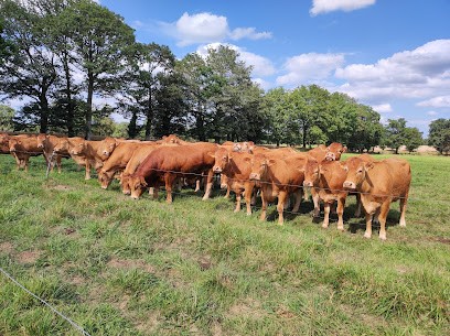 Boucherie Des Vénètes, Boucherie à Vannes