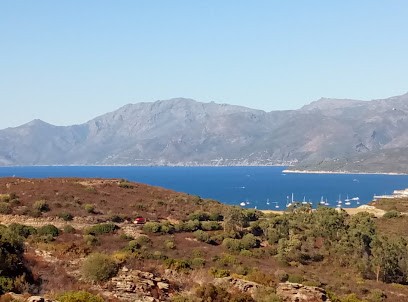 Pruneta François, Boucherie à Saint-Florent