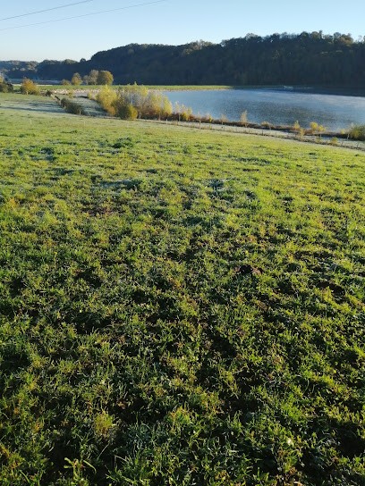 FERME DU MOULIE, Charcuterie à Sère-Rustaing