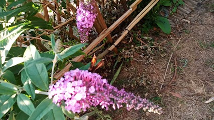 Gouguet Jean-Pierre, Boucherie à Sauviat-sur-Vige