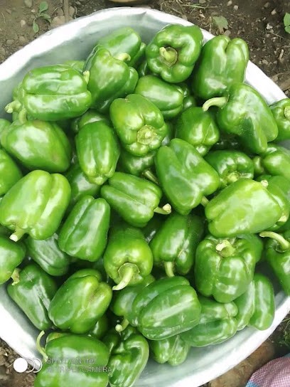 Fondation Guylain Mpembeletv, Boucherie à Morsang-sur-Orge