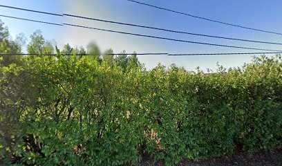 JANUS PATRICK, Charcuterie à Beaufort-en-Anjou