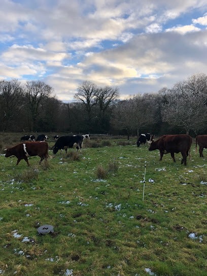 Le Ponclet, Boucherie à Locmélar