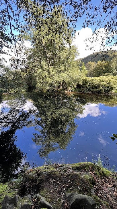 Charcuterie de la Thur, Charcuterie à Bitschwiller-lès-Thann