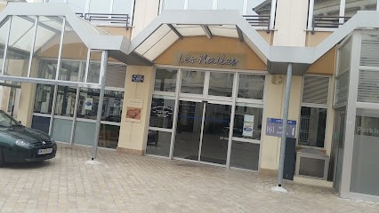 Etienne Michel, Boucherie à Châteauroux