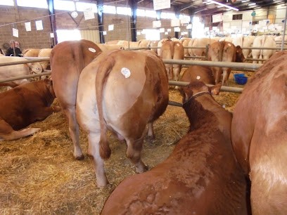 La Boucherie Du Poulbot, Boucherie à Coulanges-lès-Nevers