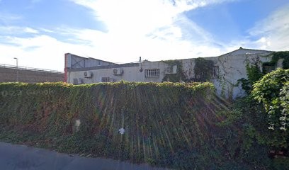 Fresh Man, Boucherie à Furiani