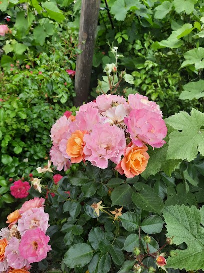 A.T. France, Charcuterie à Pont-Sainte-Marie
