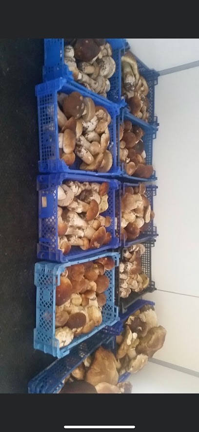 Boucherie Charcuterie Serroul, Boucherie à Coucouron