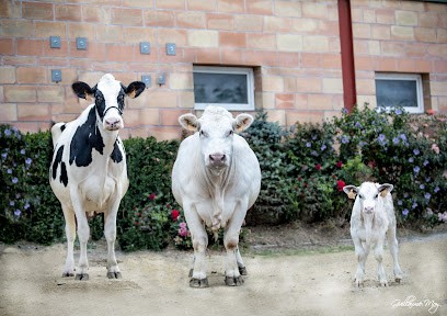 Ferme de la Ramee, Boucherie à Villars-les-Dombes