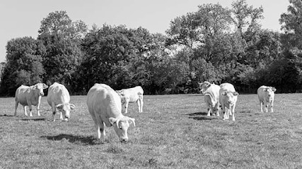 Les Bouchers Berrichons, Boucherie à La Chapelle-Saint-Ursin