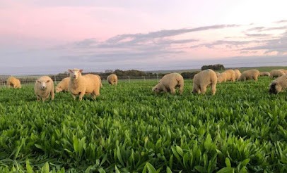 Ferme van Melle, Boucherie à La Louptière-Thénard