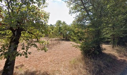 Catusse Michel Sarl, Charcuterie à Montdoumerc
